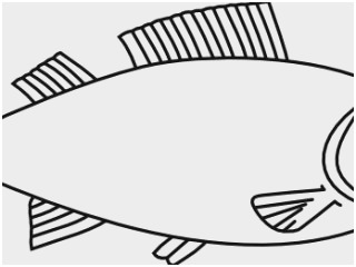 320x240 Fish Outline Coloring