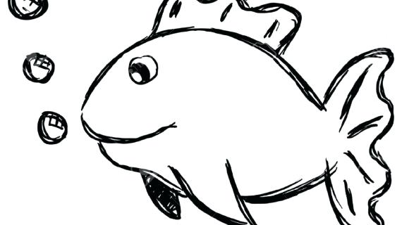 570x320 Cartoon Drawing Of A Fish Outline Drawing Of A Fish Best Ideas