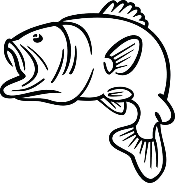 600x626 Fish Outline Fish Drawing Outline Free