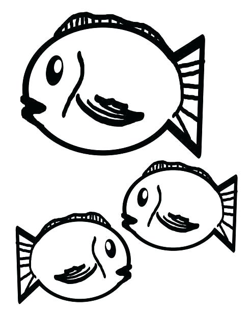 491x615 Cartoon Fish Outline Fish Outlines Free Stock Photo