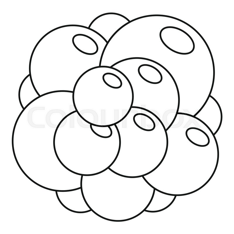 800x800 Ovary Icon Outline Illustration Of Stock Vector Colourbox