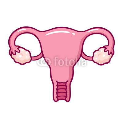 400x400 cartoon uterus drawing buy photos ap images detailview