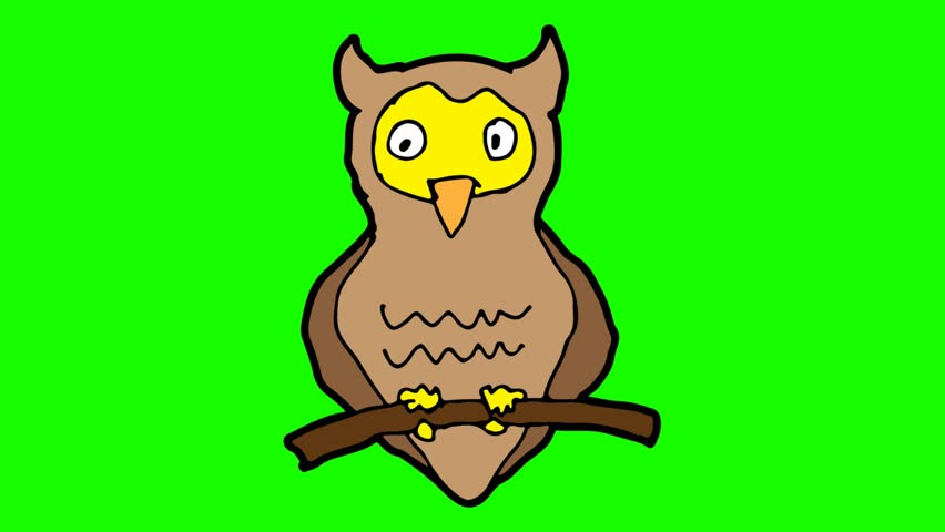 852x480 Owl Cartoon Drawing Stock Video Footage
