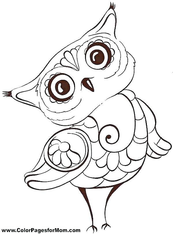 600x812 Owl To Draw Snowy Owl Cartoon Drawing