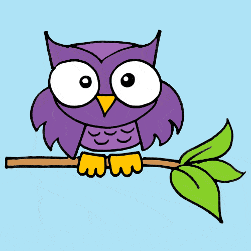 500x500 How To Draw An Owl