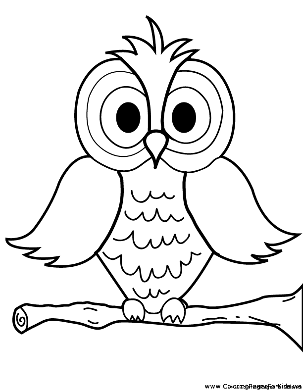 612x792 Owl Drawing For Kids