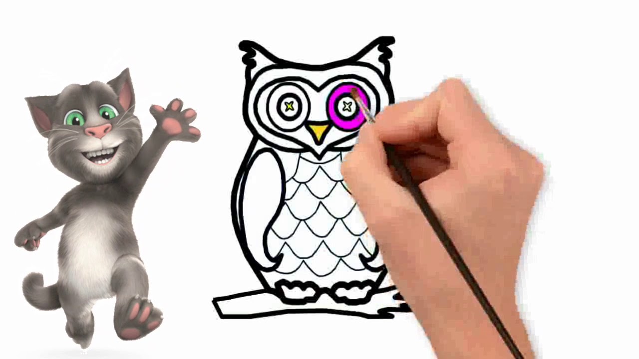 1280x720 Owl Coloring
