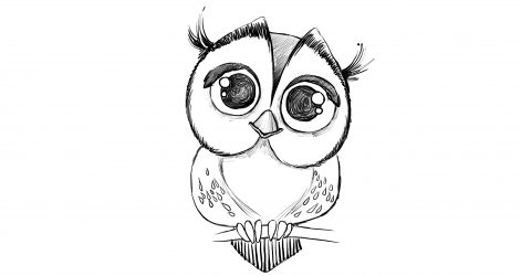 471x250 Barn Owl Drawing Realistic Feather Cute Sketches Ink Baby Pen