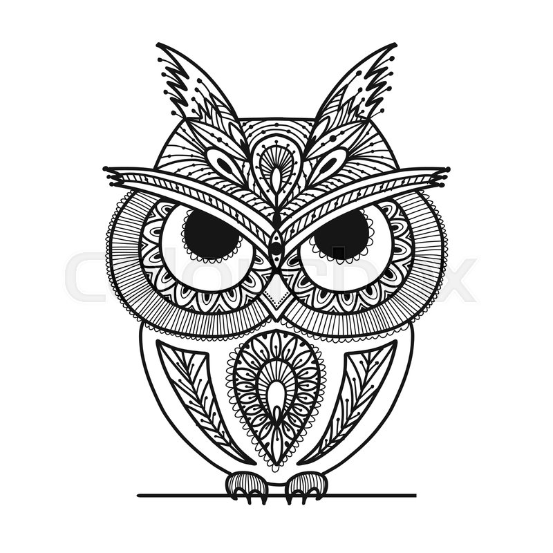 800x800 Ornate Owl, Zenart For Your Design Stock Vector Colourbox
