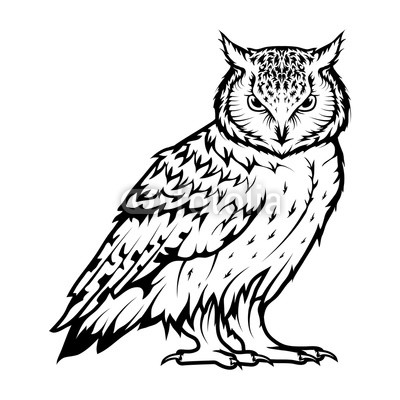 400x400 Owl Logo Wild Birds Drawing Head Of An Owl Vector Graphics
