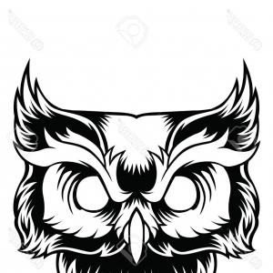 300x300 Stock Illustration Owl Logo Wild Birds Drawing Soidergi