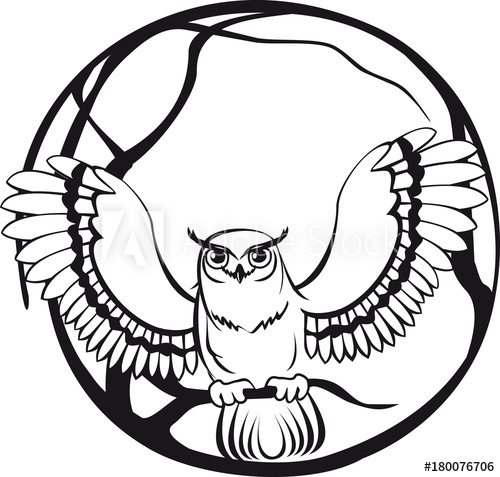 500x477 Black And White Owl Sitting On A Branch Tree Circular Design