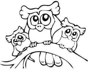 300x239 Cute Owl Drawing For Kids And Coloring Pages Owls Colouring