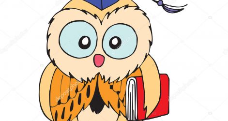 471x250 Owl Drawing Cartoon Realistic Face Step
