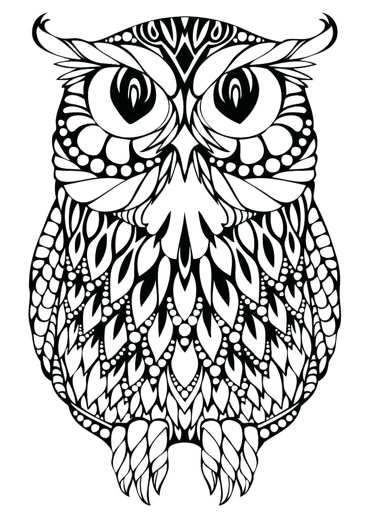 723x1024 Owl Drawing Outline How To Draw An Owl