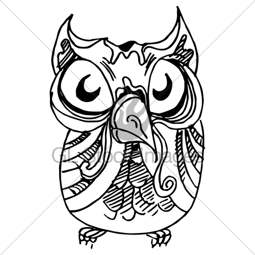 500x500 Owl Drawing Gl Stock Images