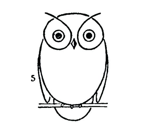 500x433 Owl Simple Drawing Owl Drawing Tutorial Nip