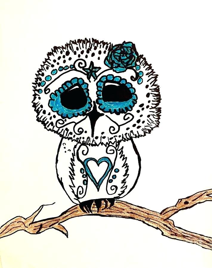 711x900 Baby Owl Drawing