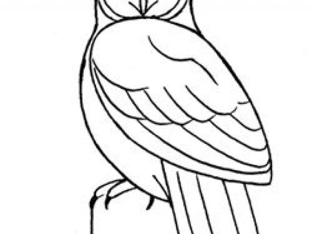 640x480 Great Grey Owl Clipart Drawing