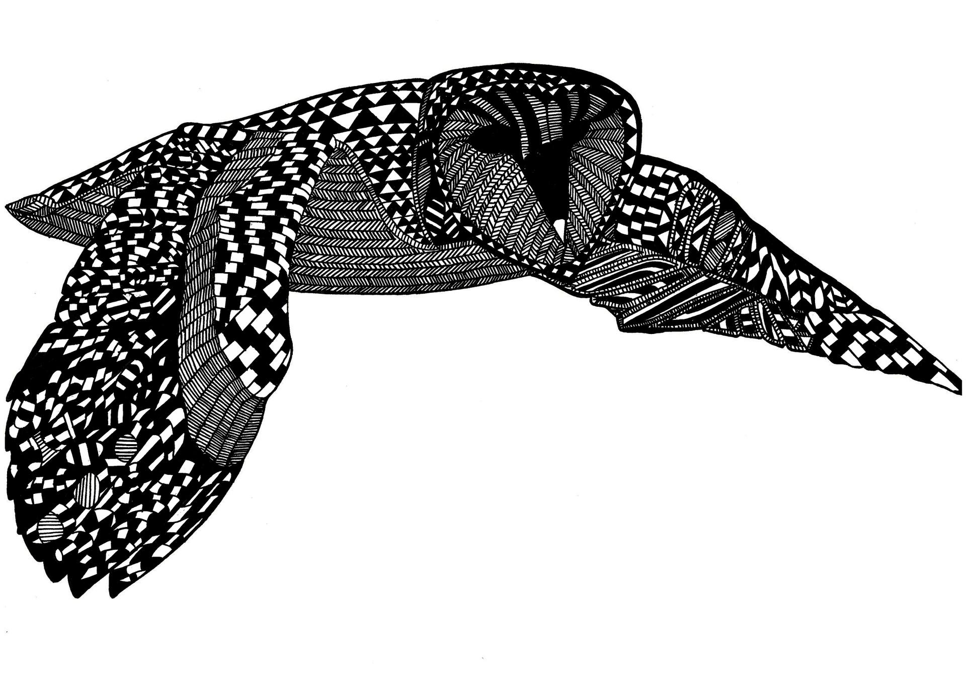 1920x1358 Flight Of The Owl Drawing