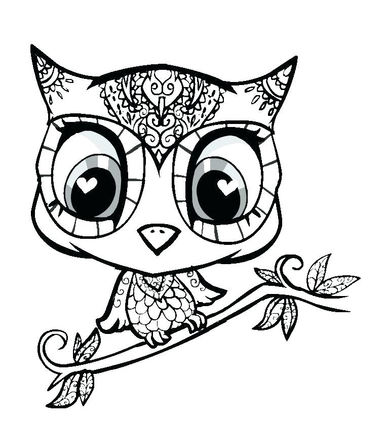 760x836 Owl Drawing Cute Cute Owl More Simple Cute Owl Drawing Step