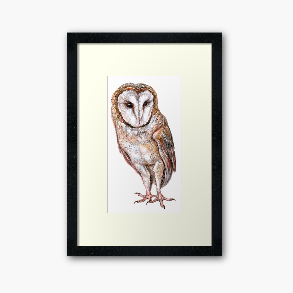 1000x1000 Barn Owl Drawing Framed Art Print