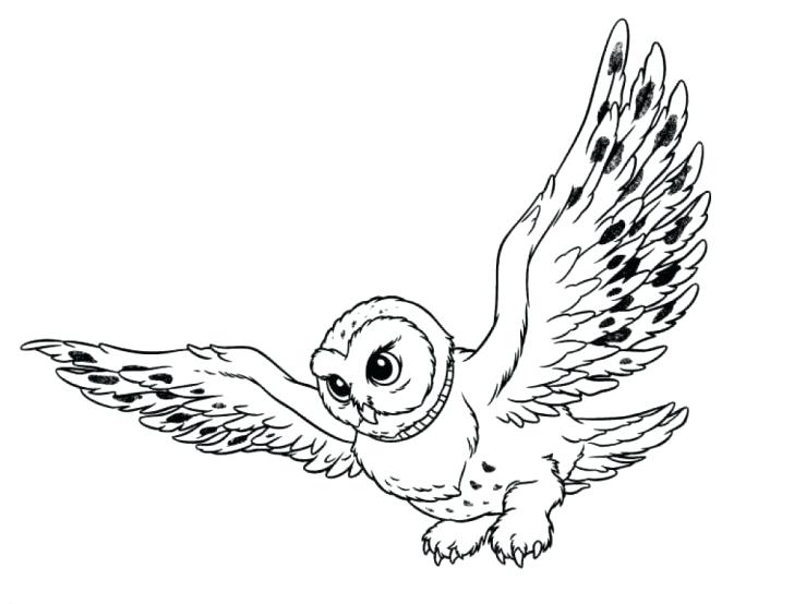 728x554 Free Printable Christmas Owl Coloring Pages Colouring Burrowing