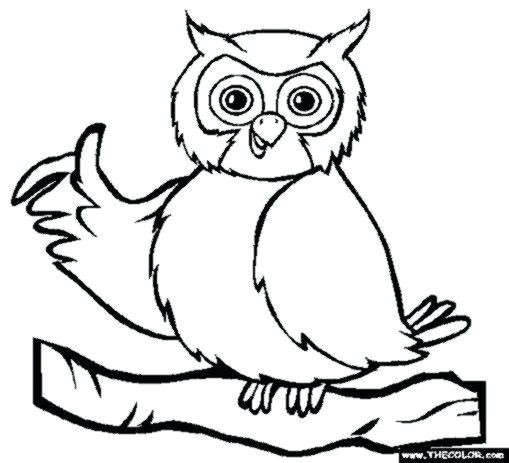 509x463 Owl Coloring