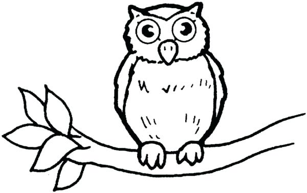 600x377 Owl For Coloring Color It Images Of Owl Coloring Pages