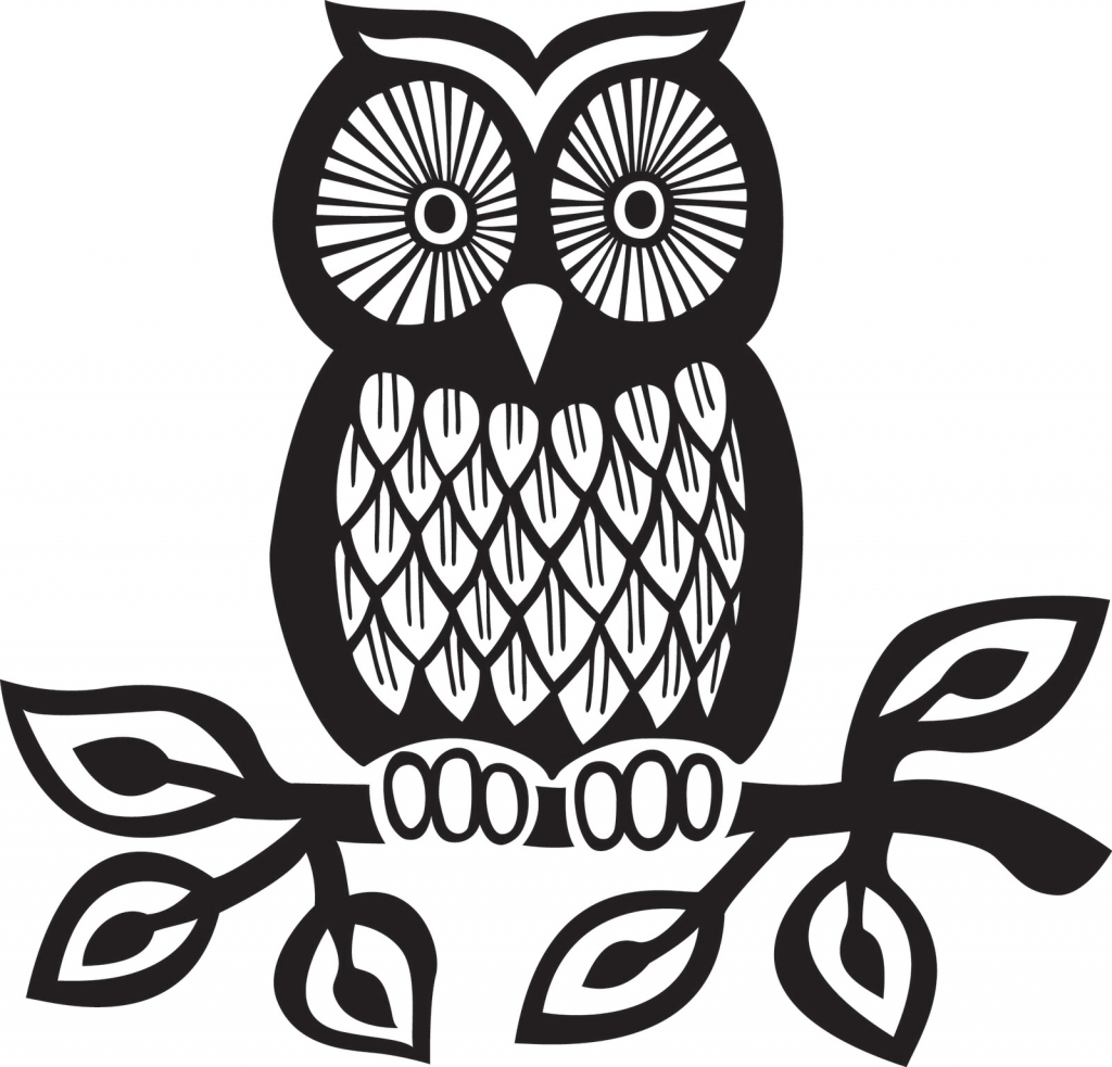 1024x983 Simple Owl Sketch Drawing Clipart Owl Pencil And In Color Drawing