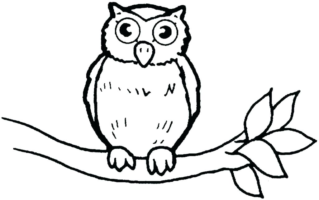 1024x643 Coloring Book Owl Mebelmag
