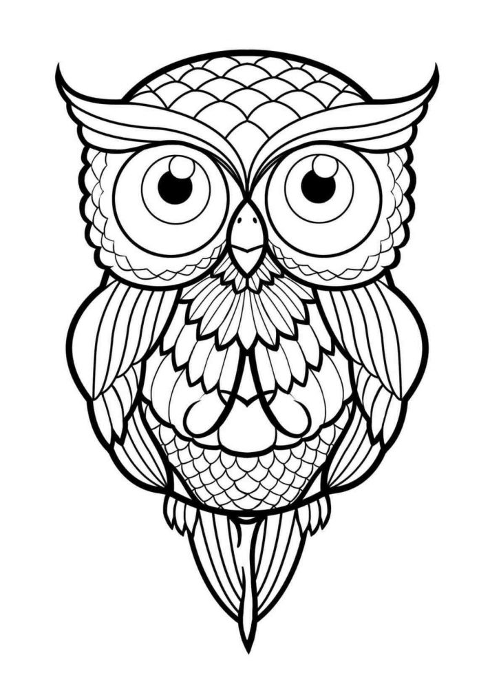 728x1013 Cartoon Owl Sketches Cute Drawing Line Snowy Of An I Fertility