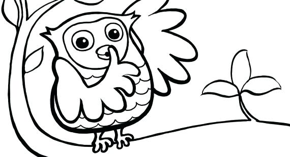 570x310 Coloring Pages For Boys Halloween Cat Owl Preschool Owls Colouring