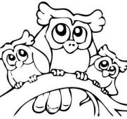 181x170 Coloring Pages Of Owls Free Printable Owl For Kids Simple Drawings