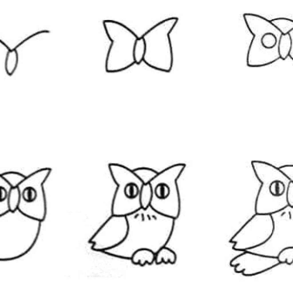 1024x1024 How To Draw A Owl Step