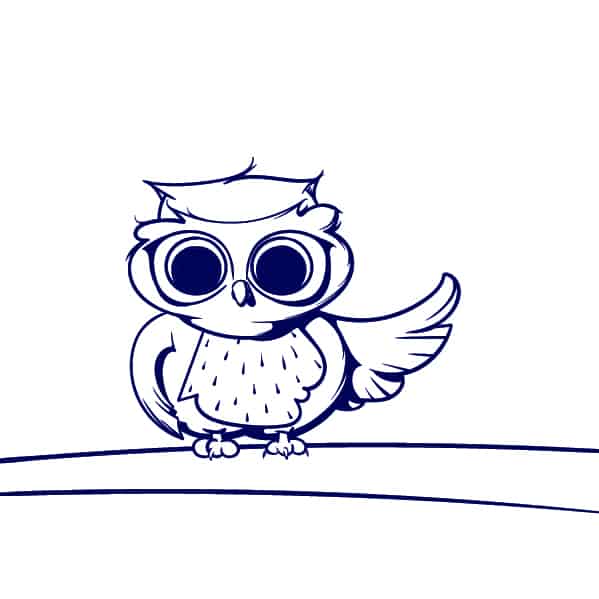 599x599 Learn How To Draw An Owl