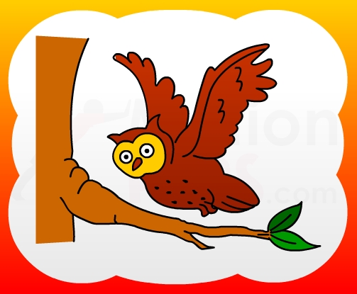 503x415 How To Draw Flying Owl For Kids