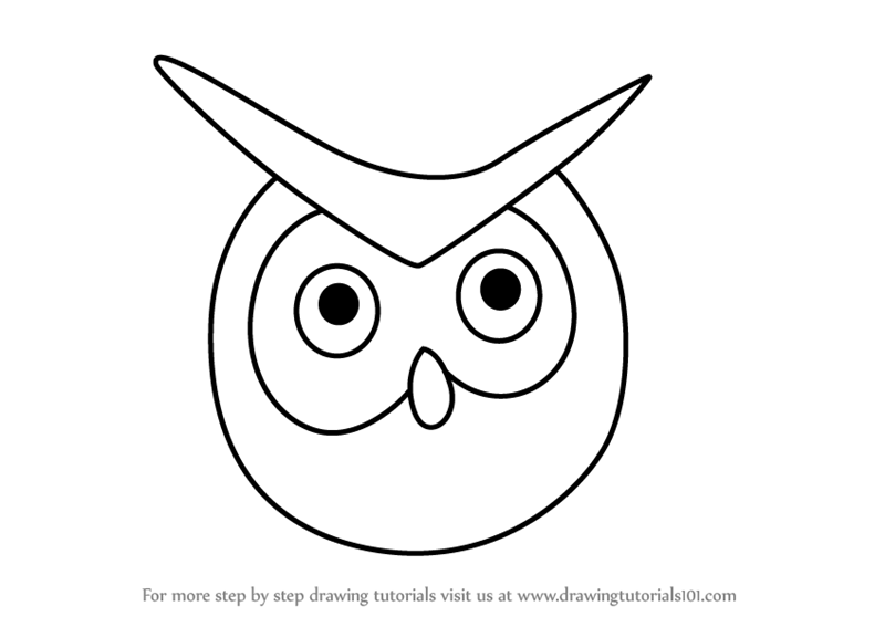 800x567 Learn How To Draw An Owl Face For Kids