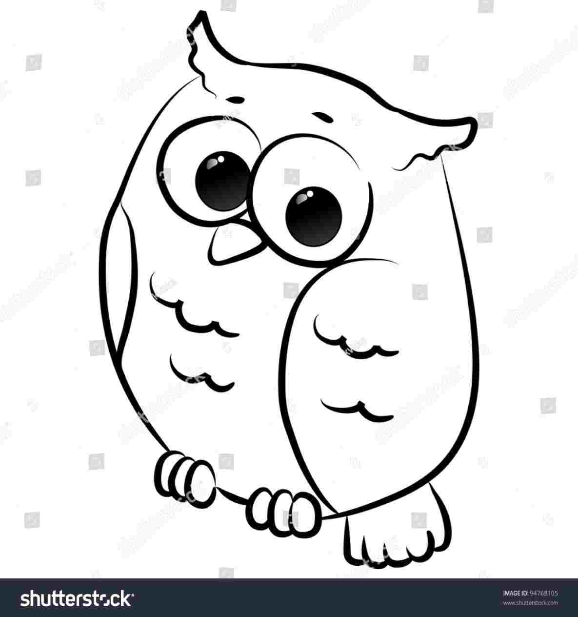 1185x1264 Cute Little Owl Drawing