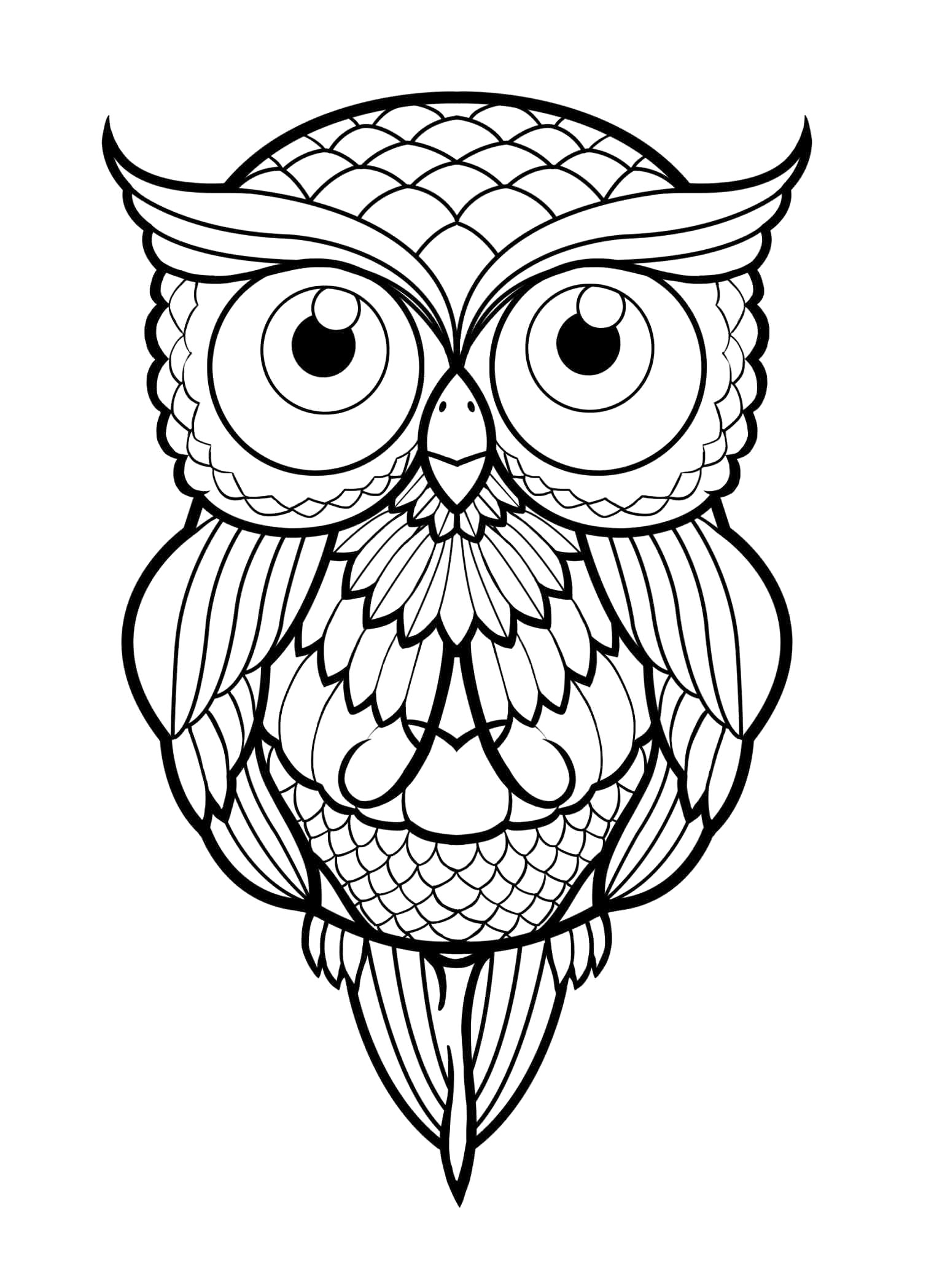 1508x2098 Owl Drawings