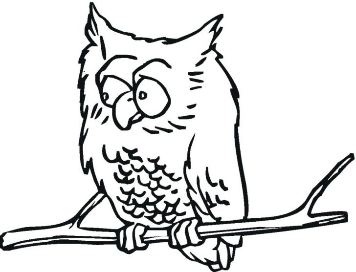 728x557 Draw An Owl And Coloring For Kids Pages Disney Pdf To Print Cute