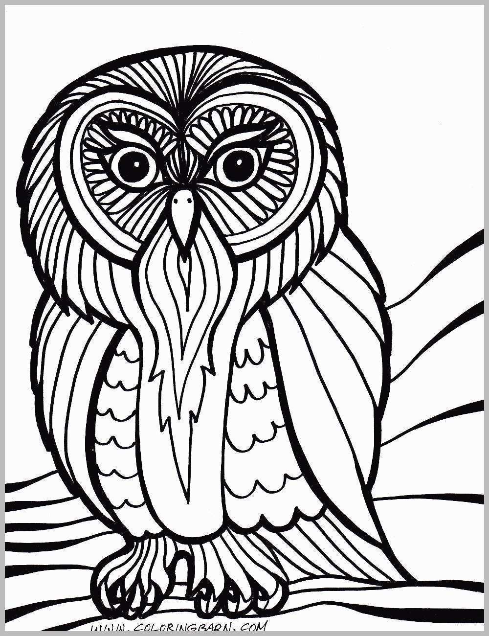 1000x1300 Owl Coloring Books For Adults Fabulous Best Owl Coloring Pages