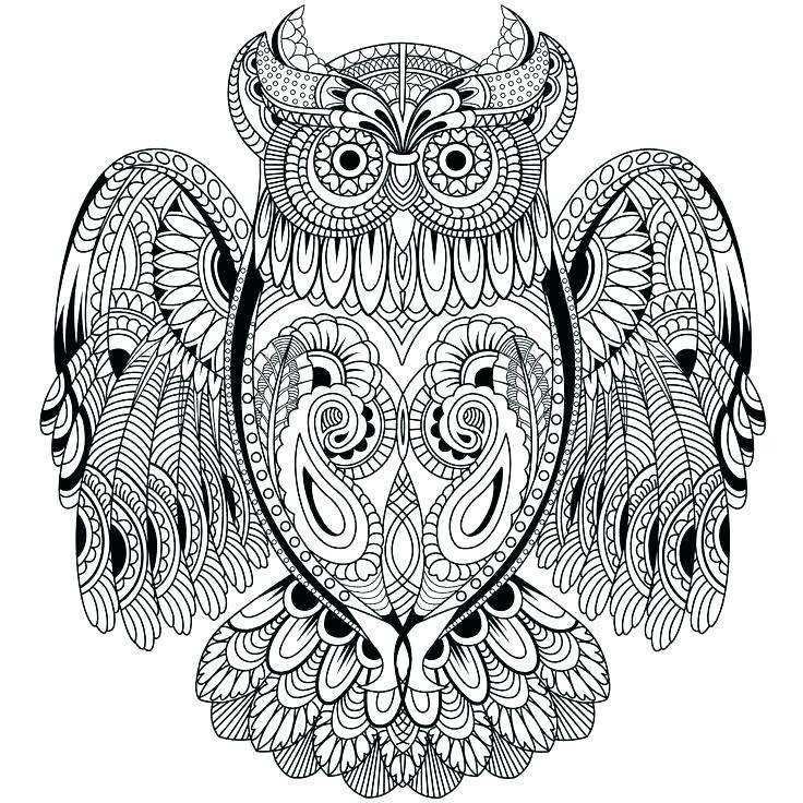 736x736 Printable Owl Coloring Pages For Adults Best Of Owl Printable
