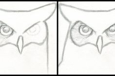 236x157 Cartoon Owl Sketches Cute Drawing Line Snowy Of An I Fertility