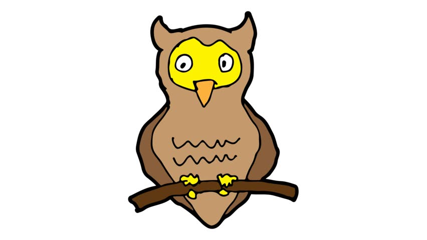 852x480 Owl Cartoon Drawing Stock Video Footage