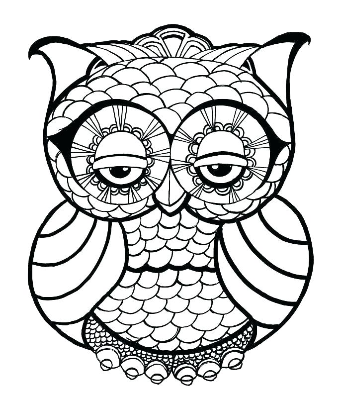 686x800 Owl Drawing Outline