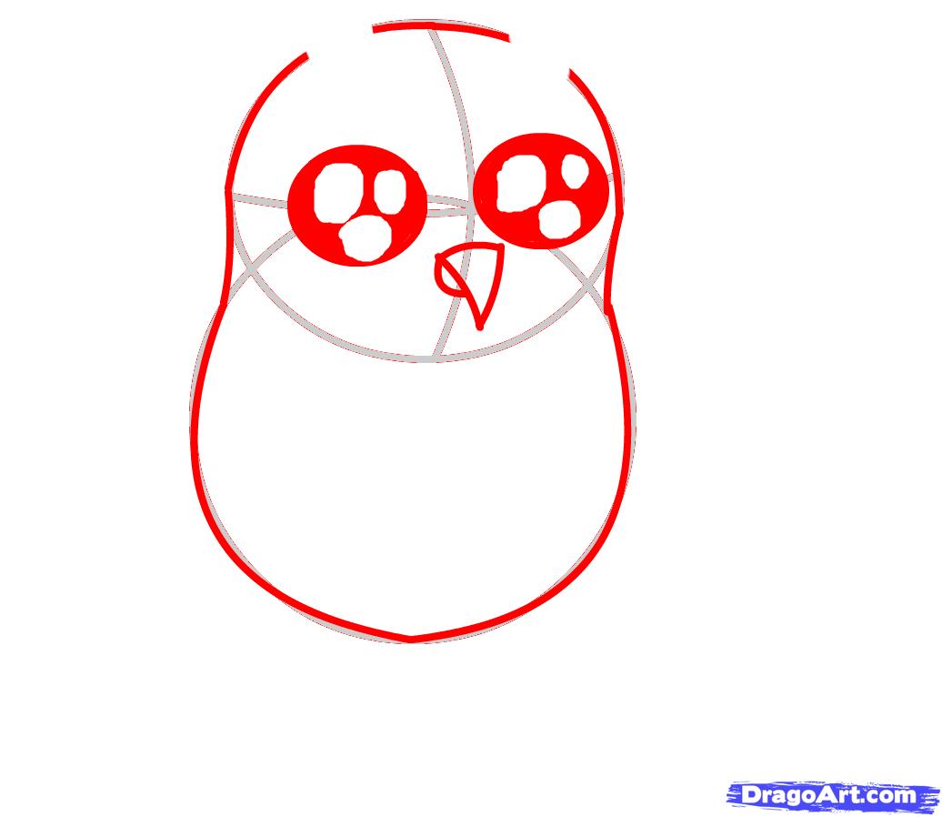 1036x898 How To Draw A Baby Owl, Step