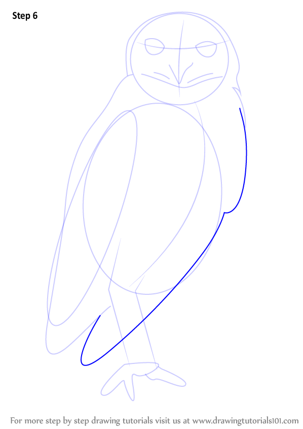 598x844 Learn How To Draw A Burrowing Owl