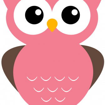 336x336 Owl Drawing Step