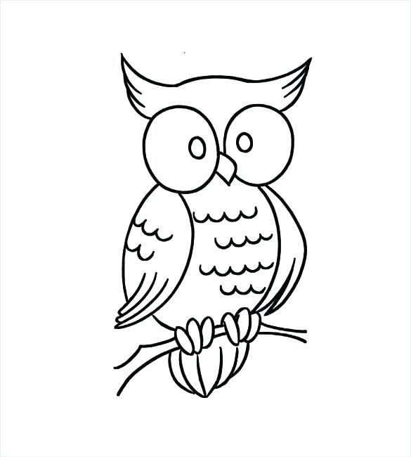 585x650 Owl Outline Drawing Owl Head Silhouette Owl Outline Drawing